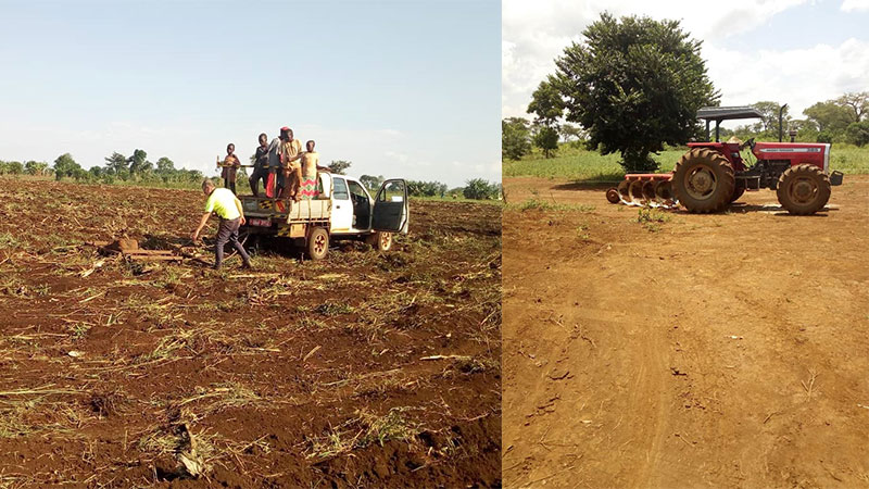 Farming near Kiryandongo